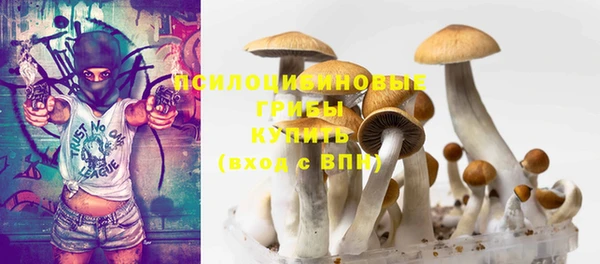 соль ск Абаза