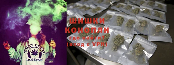 соль ск Абаза